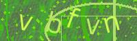 Visual Confirmation Code
