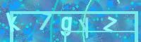 Visual Confirmation Code