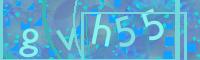 Visual Confirmation Code