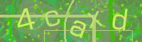 Visual Confirmation Code