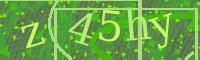 Visual Confirmation Code