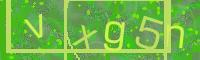 Visual Confirmation Code