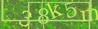 Visual Confirmation Code
