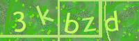 Visual Confirmation Code