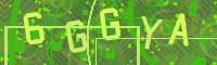 Visual Confirmation Code