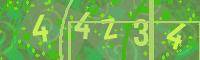 Visual Confirmation Code