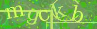 Visual Confirmation Code