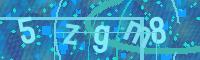 Visual Confirmation Code
