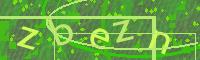 Visual Confirmation Code