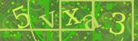 Visual Confirmation Code