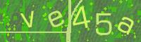 Visual Confirmation Code