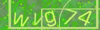 Visual Confirmation Code